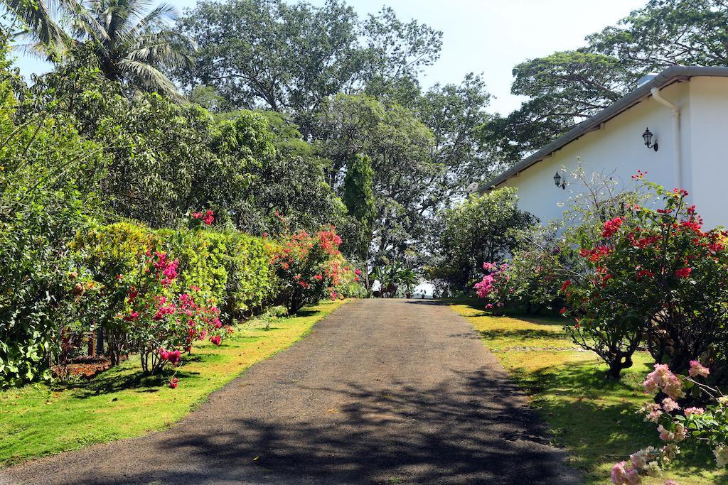Отель Parisons Plantation Experiences By Abad Манантавади Экстерьер фото